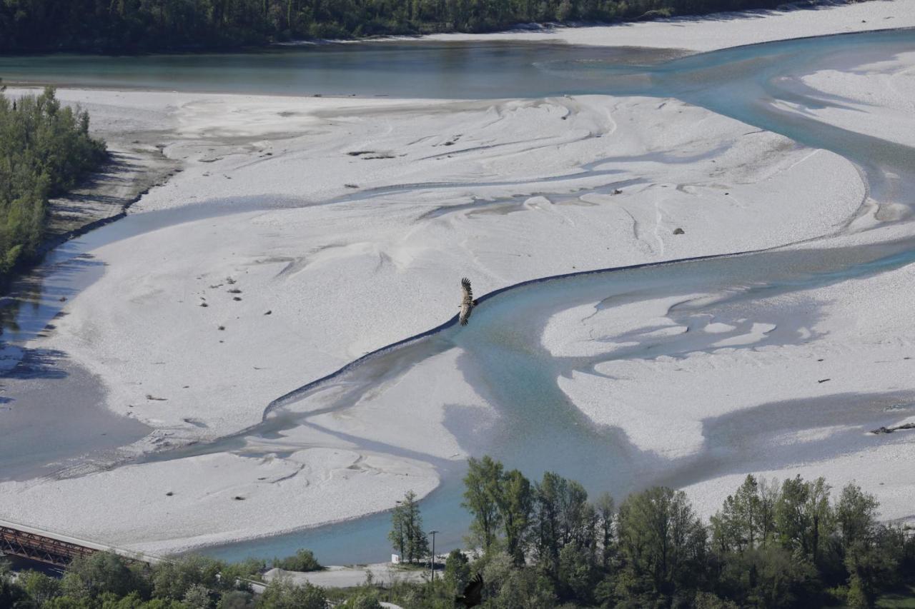 Baita Tana Da L'Ors Forgaria nel Friuli Buitenkant foto