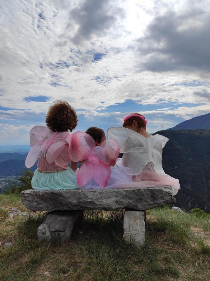 Baita Tana Da L'Ors Forgaria nel Friuli Buitenkant foto