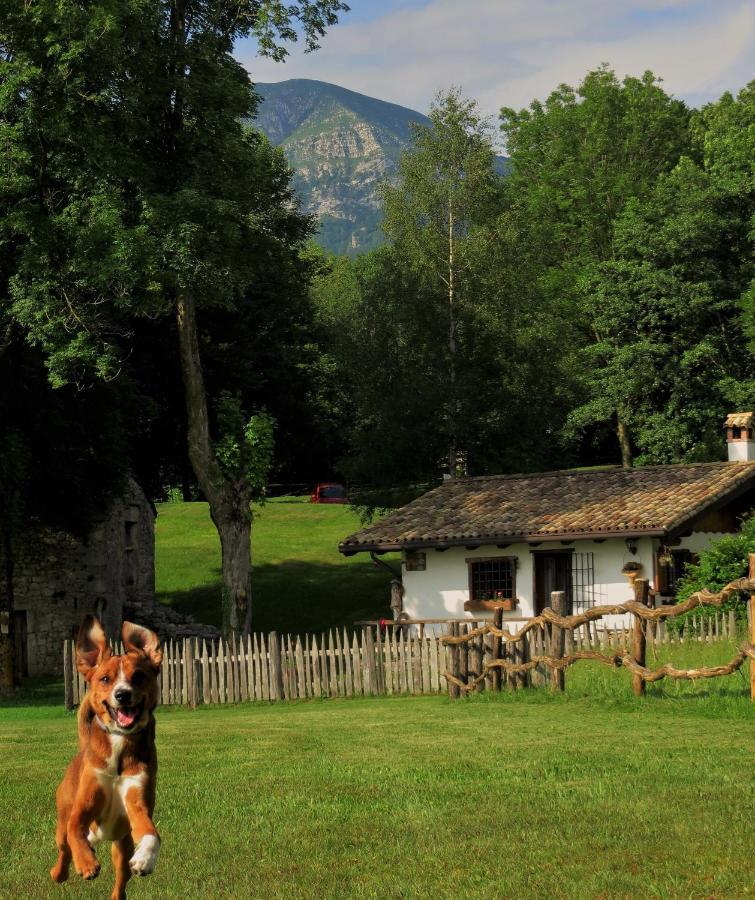 Baita Tana Da L'Ors Forgaria nel Friuli Buitenkant foto