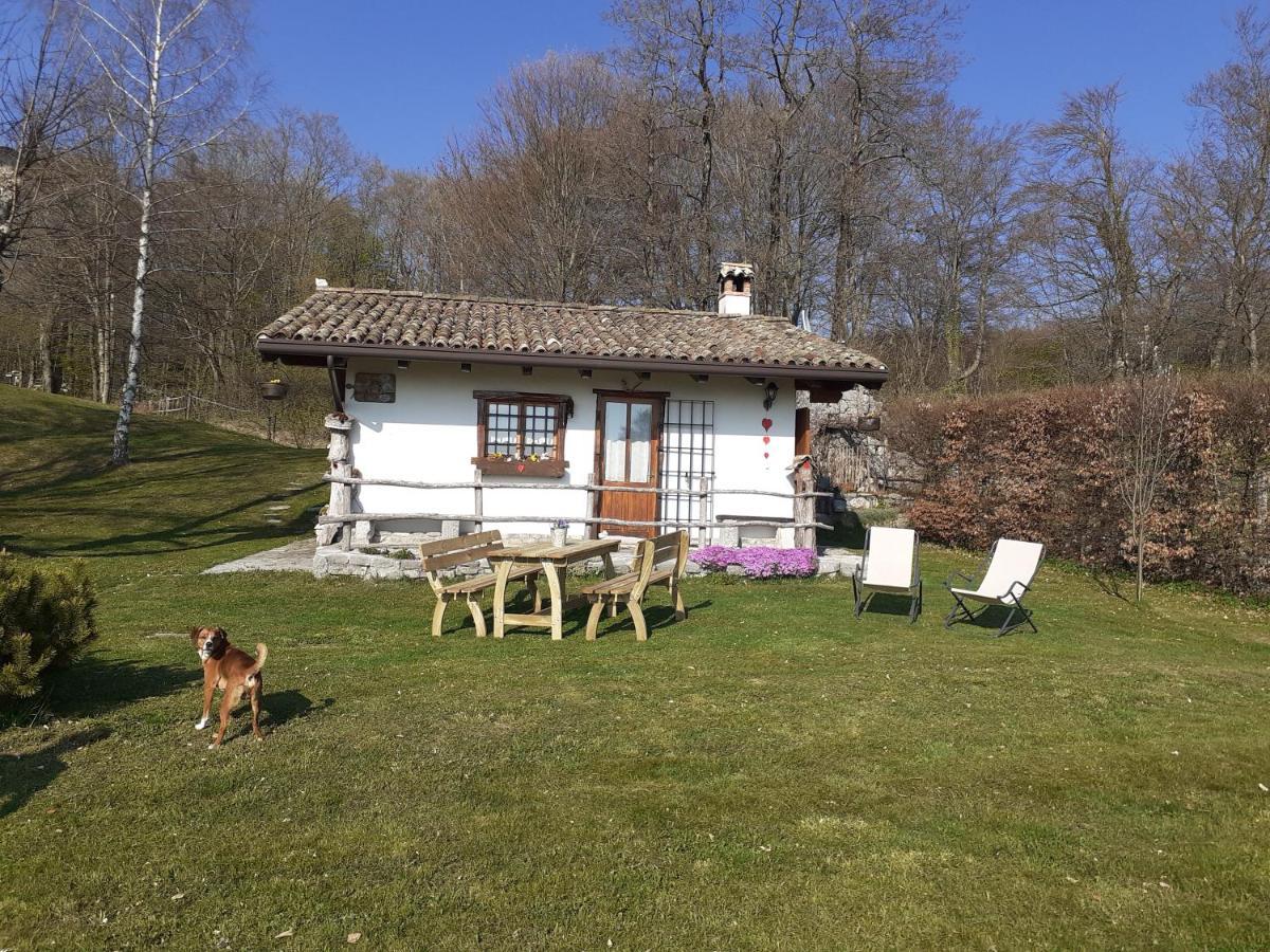 Baita Tana Da L'Ors Forgaria nel Friuli Buitenkant foto