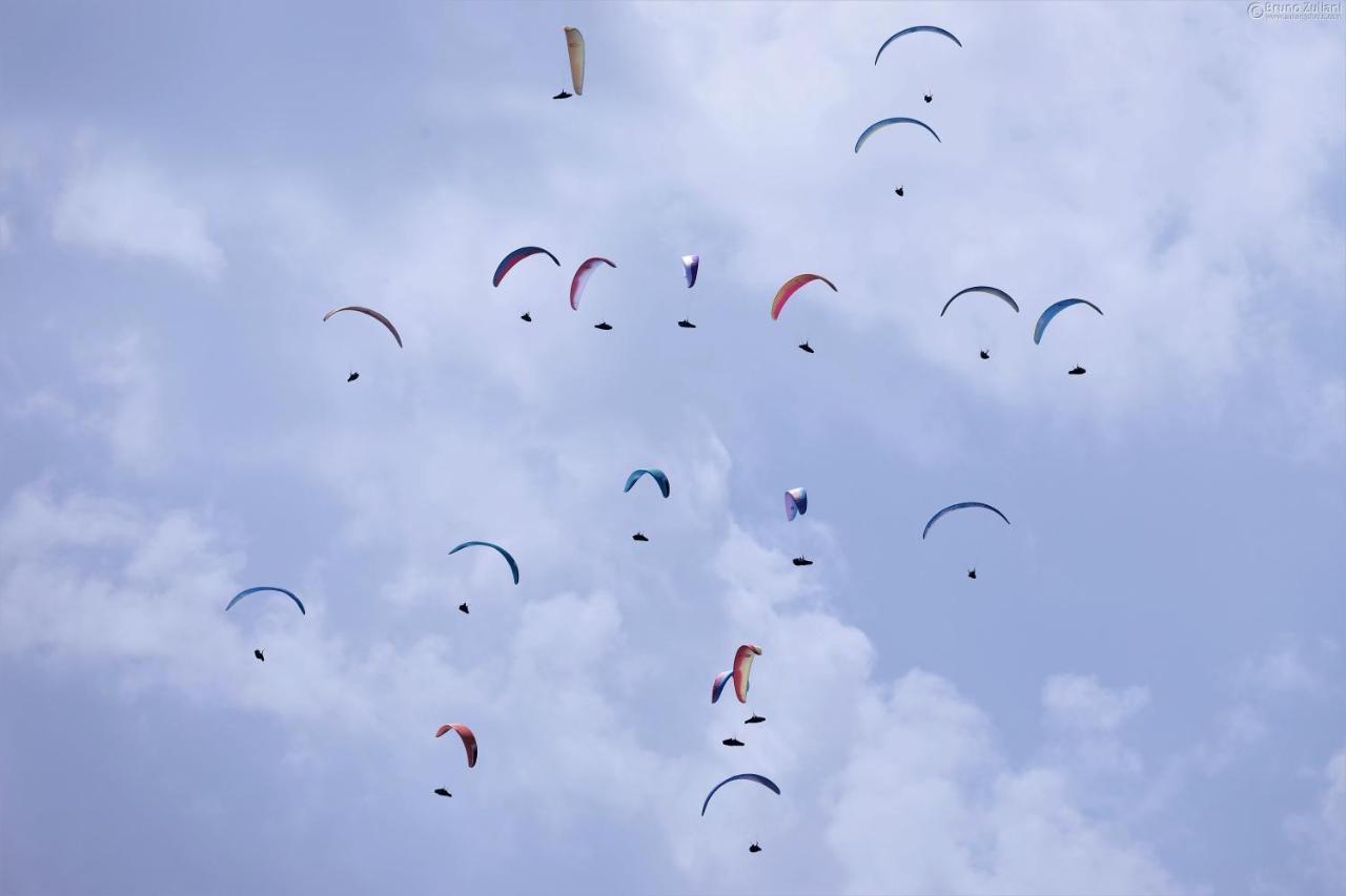 Baita Tana Da L'Ors Forgaria nel Friuli Buitenkant foto