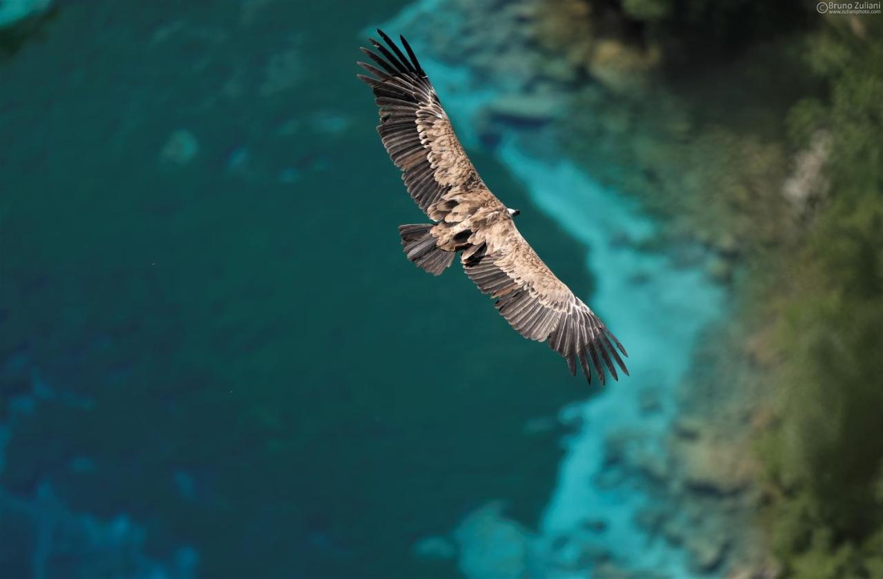 Baita Tana Da L'Ors Forgaria nel Friuli Buitenkant foto