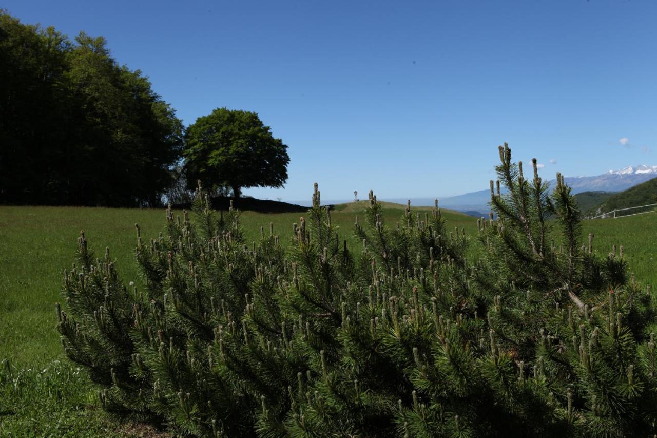 Baita Tana Da L'Ors Forgaria nel Friuli Buitenkant foto