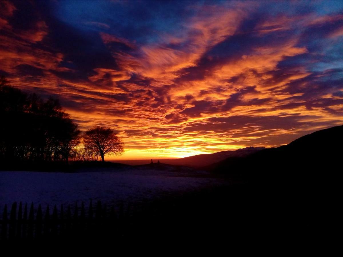 Baita Tana Da L'Ors Forgaria nel Friuli Buitenkant foto