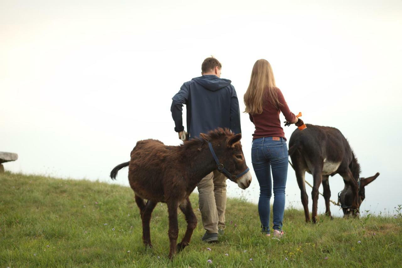 Baita Tana Da L'Ors Forgaria nel Friuli Buitenkant foto